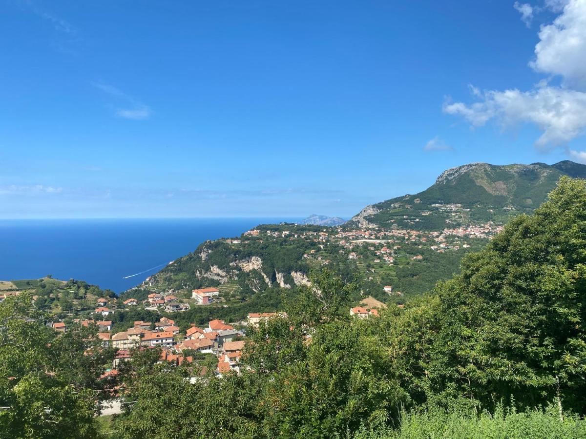 B&B Villa Reginella Agerola Eksteriør billede